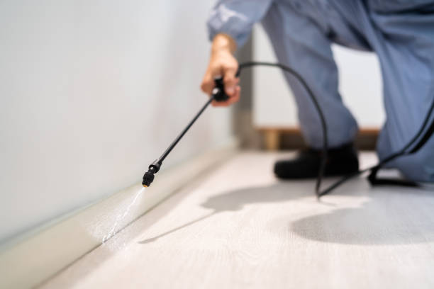 Licensed Termite Control service in Grass Valley, CA - Nex Pest Control