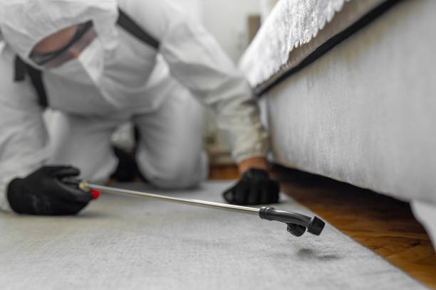 Professional Termite Control technician working in Grass Valley, CA