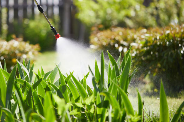 24/7 Emergency Termite Control experts in Grass Valley, CA