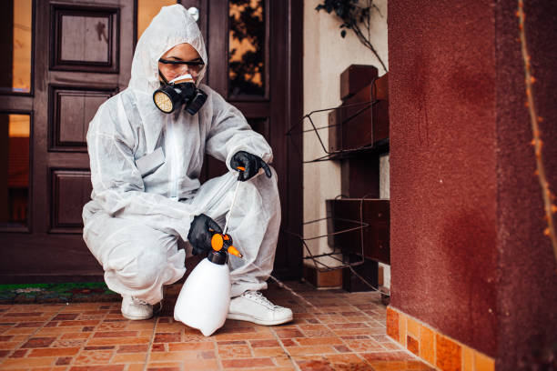 Reliable Termite Control contractor in Grass Valley, CA by Nex Pest Control